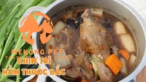 Chim trĩ hầm thuốc bắc là món ăn đặc sắc, nhiều chất dinh dưỡng được tiến vua ngày xưa, ngày nay được dùng để tẩm bổ cho bà bầu, em bé, người phục hồi sau bệnh